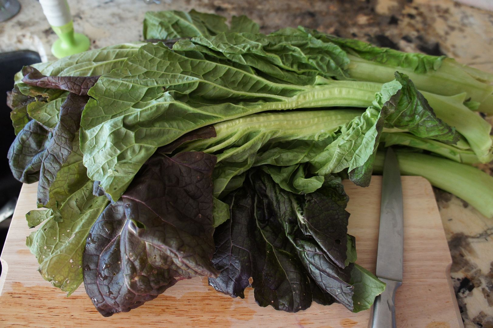 Anne's Odds and Ends Mustard Greens Pesto Recipe